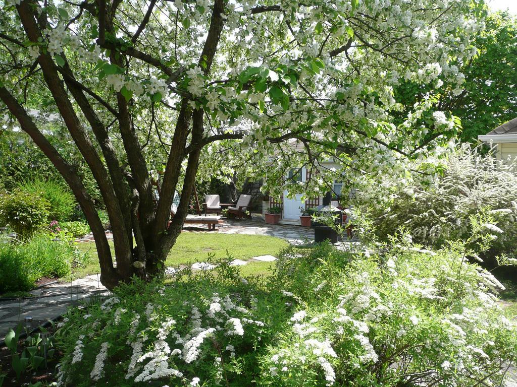 La Maison Dufour & Bouchard Bed and Breakfast La Malbaie Esterno foto